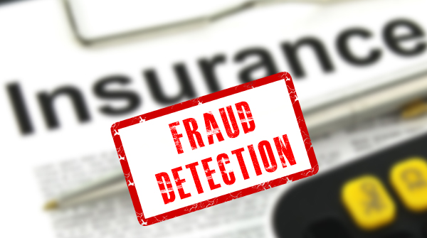 Fraud Detection-jpg image